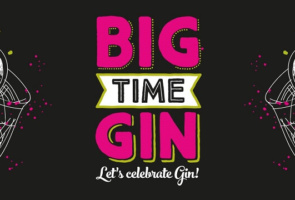 Big Time Gin Festival - Saturday 11 November