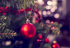 Festive Message from the Warwickshire Cricket Foundation
