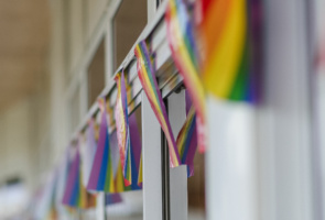Bears take Pride in a month of celebration